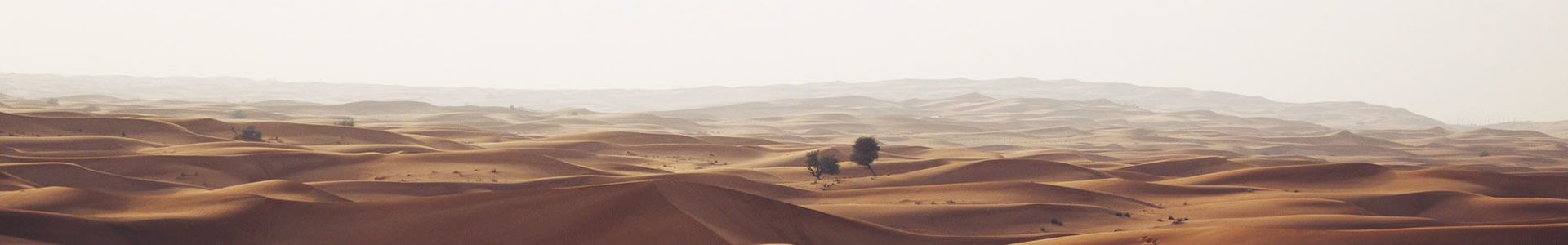 пԴƼ޹˾